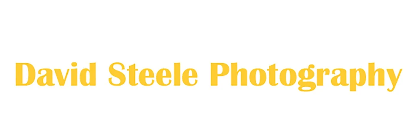 David Steele Photography